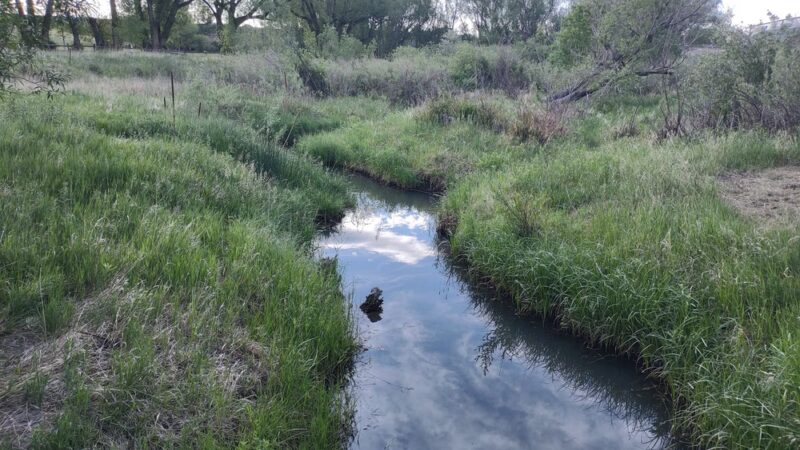Dirty Woman Park - Monument, CO
