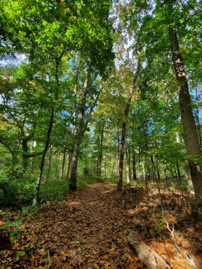 Little Woods on the Rancocas - Moorestown, NJ
