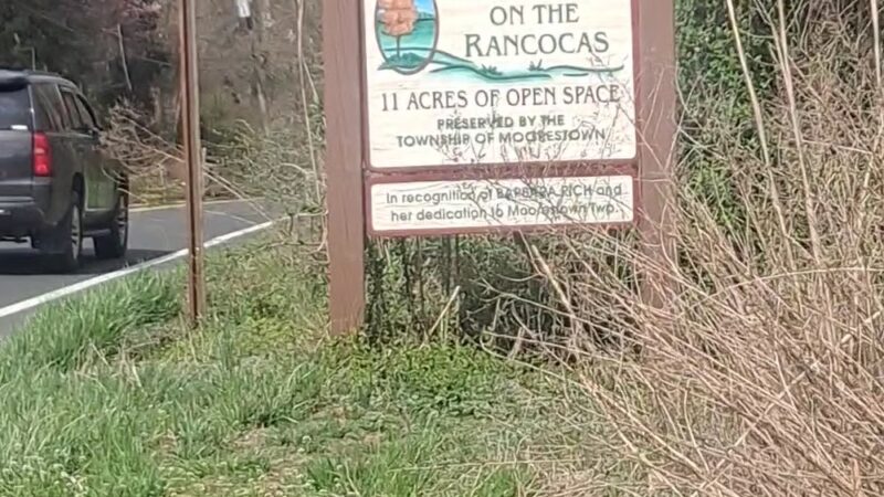 Little Woods on the Rancocas - Moorestown, NJ