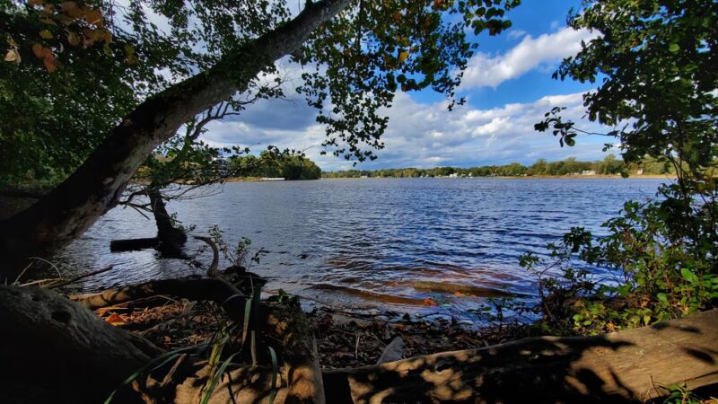 Little Woods on the Rancocas - Moorestown, NJ