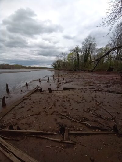 Little Woods on the Rancocas - Moorestown, NJ