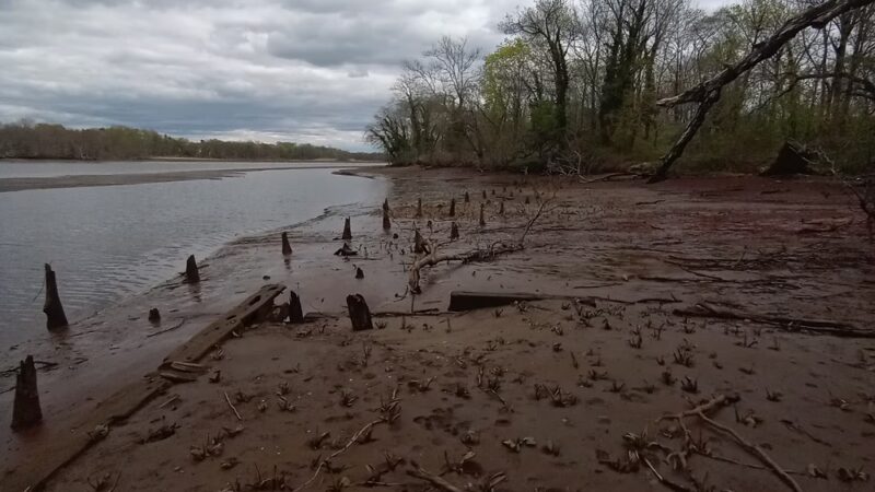 Little Woods on the Rancocas - Moorestown, NJ