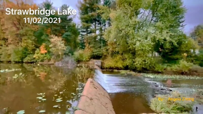 Strawbridge Lake Park - Moorestown, NJ