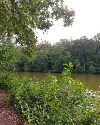 Strawbridge Lake Park - Moorestown, NJ