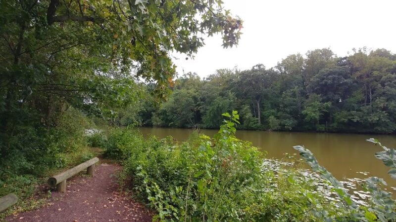 Strawbridge Lake Park - Moorestown, NJ