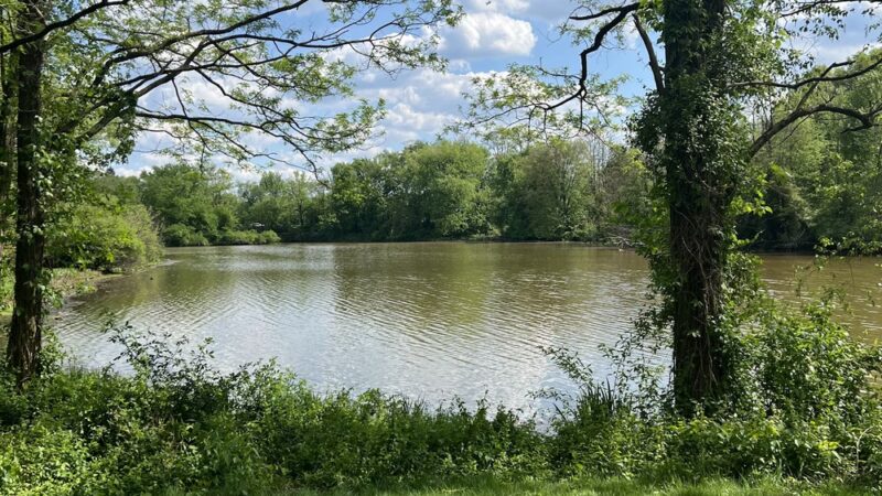 Strawbridge Lake Park - Moorestown, NJ