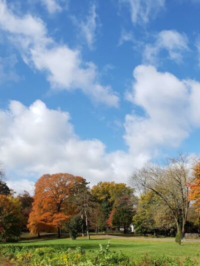 Strawbridge Lake Park - Moorestown, NJ
