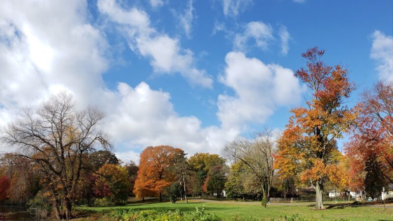 Strawbridge Lake Park - Moorestown, NJ