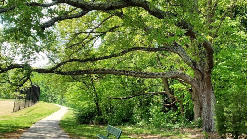 Cornelius Road Park - Mooresville, NC