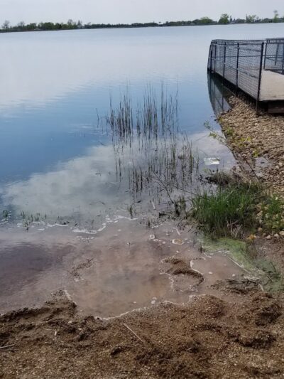 Mooreton Pond Beach - Mooreton, ND