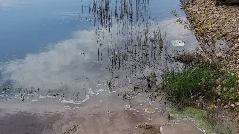 Mooreton Pond Beach - Mooreton, ND