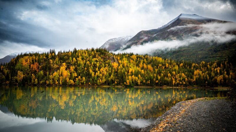 Vagt Lake Trail - Moose Pass, AK