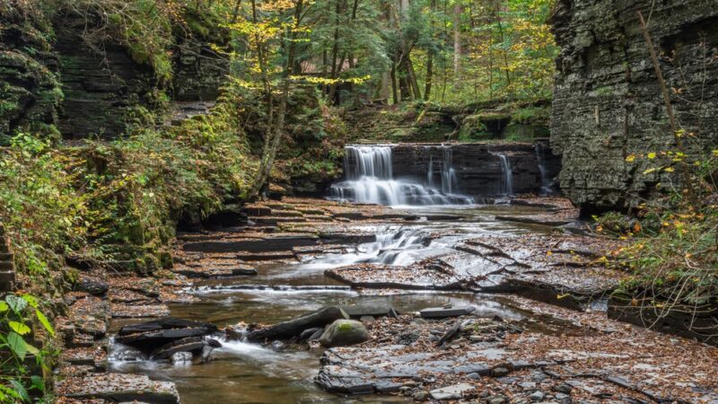 Fillmore Glen State Park - Moravia, NY