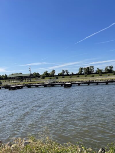 Lake End Bark Park - Morgan City, LA
