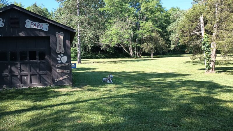 Hueston Woods Dog Park - Morning Sun, OH