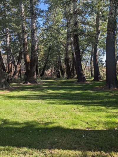 DeMoss Springs Memorial Park - Moro, OR