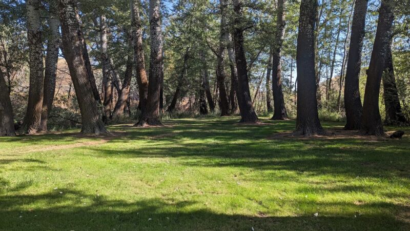 DeMoss Springs Memorial Park - Moro, OR