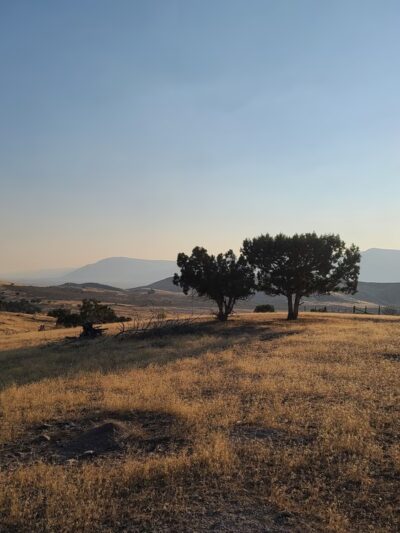 Moroni City Park - Moroni, UT
