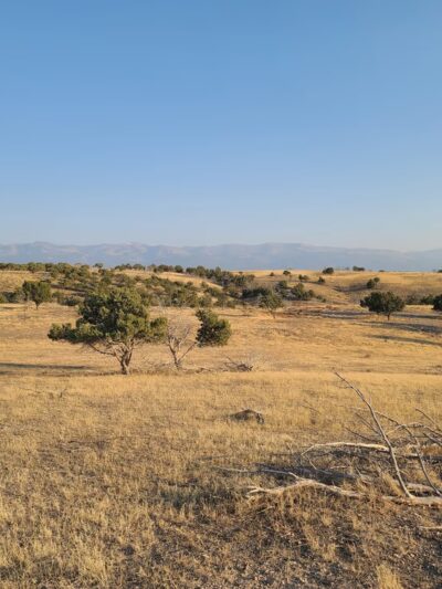 Moroni City Park - Moroni, UT