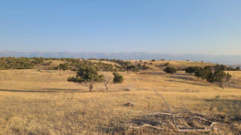 Moroni City Park - Moroni, UT