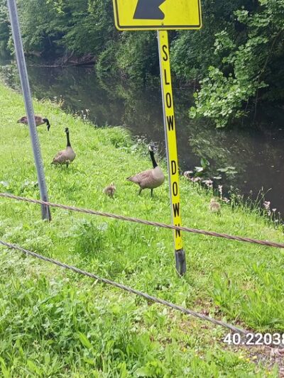 Delaware Canal Ferry Road Access - Morrisville, PA
