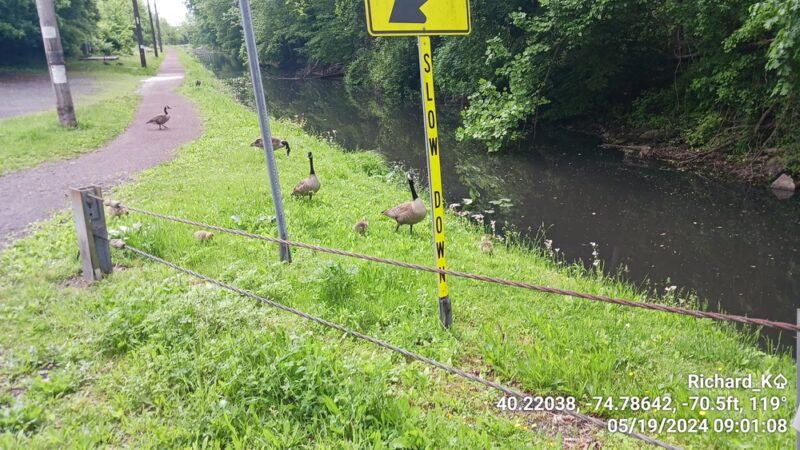 Delaware Canal Ferry Road Access - Morrisville, PA