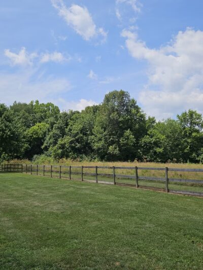 Bigfoot Dog Park - Morrow, OH