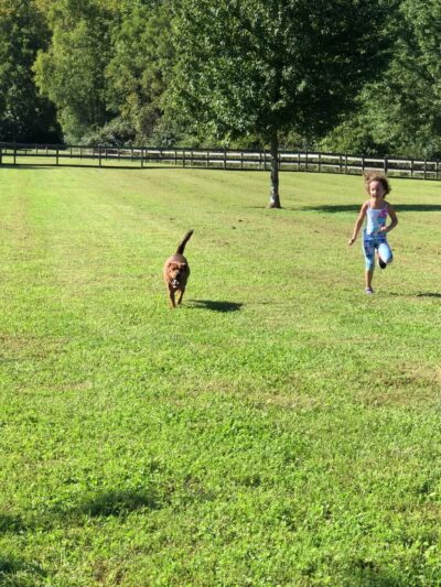 Bigfoot Dog Park - Morrow, OH