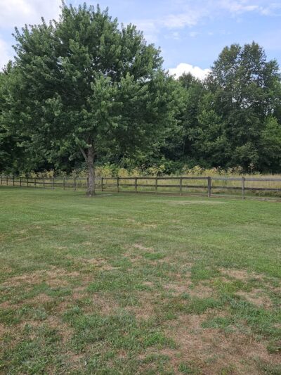 Bigfoot Dog Park - Morrow, OH