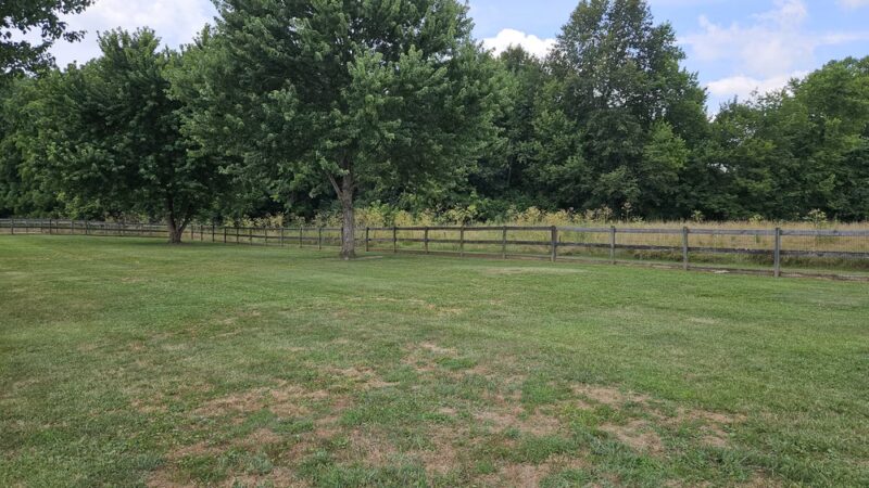 Bigfoot Dog Park - Morrow, OH