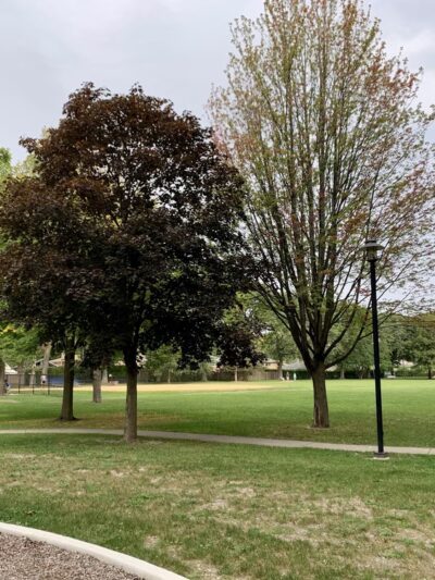 Mansfield Park - Morton Grove, IL