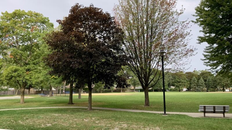 Mansfield Park - Morton Grove, IL