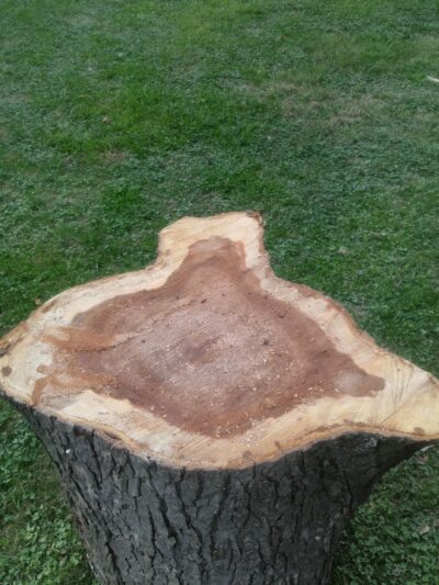 National Park - Morton Grove, IL