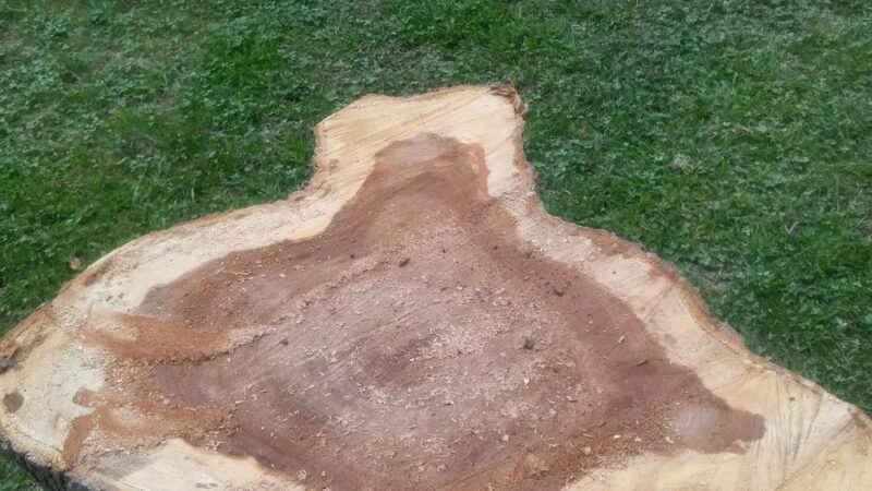 National Park - Morton Grove, IL