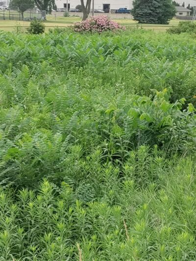 Prairie View Park - Morton Grove, IL