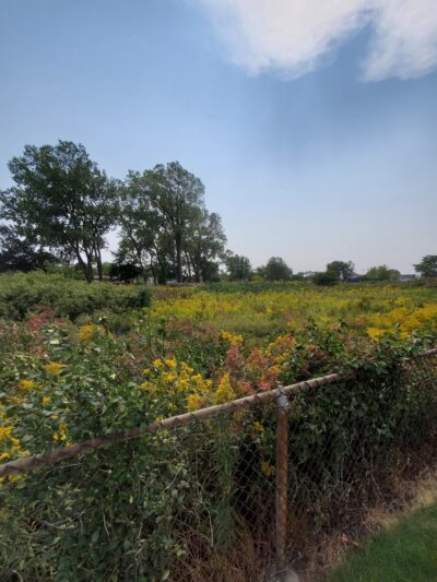 Prairie View Park - Morton Grove, IL