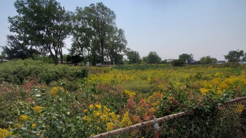 Prairie View Park - Morton Grove, IL