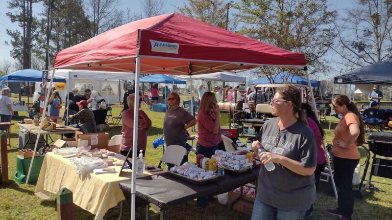 Farris Municipal Park Activity Center - Morton, MS