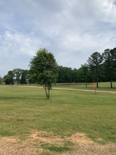 Green Tree RV & Recreational Park - Morton, MS