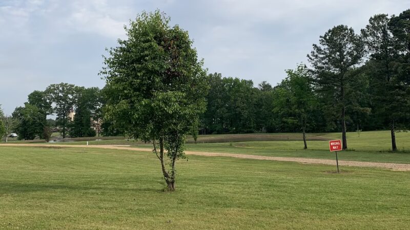 Green Tree RV & Recreational Park - Morton, MS