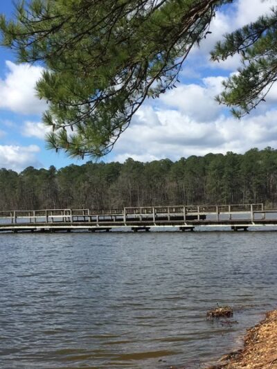 Roosevelt State Park - Morton, MS
