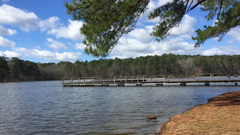 Roosevelt State Park - Morton, MS