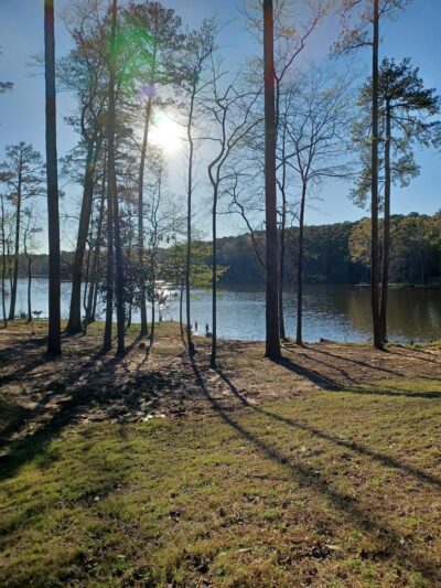 Roosevelt State Park - Morton, MS