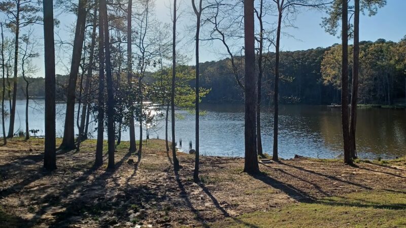 Roosevelt State Park - Morton, MS
