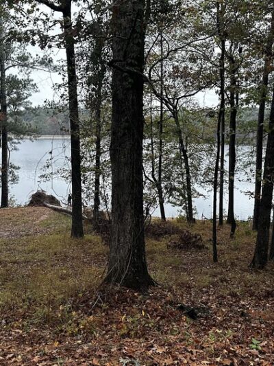 Roosevelt State Park - Morton, MS