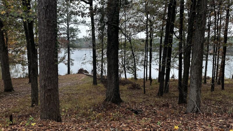 Roosevelt State Park - Morton, MS