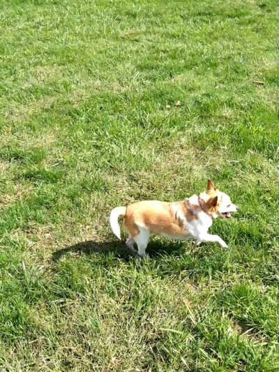 Church Road Park - Morton, PA