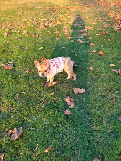 Church Road Park - Morton, PA