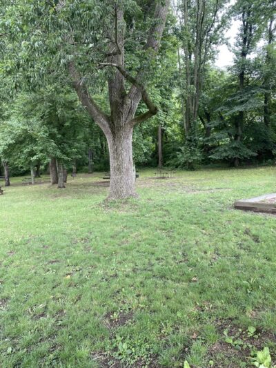 William p Jacobs park - Morton, PA