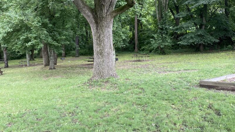 William p Jacobs park - Morton, PA